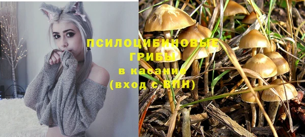 гашик Армянск