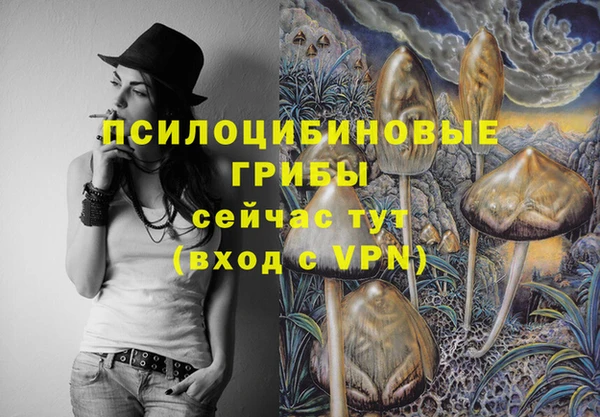 гашик Армянск