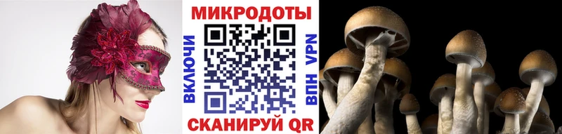 Псилоцибиновые грибы Cubensis  купить наркотик  Няндома 